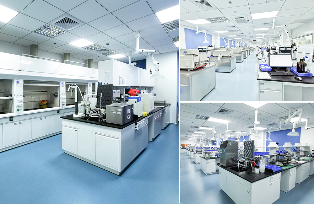 從理論到實踐，藥品檢驗檢測實驗室標準建設方案指南 